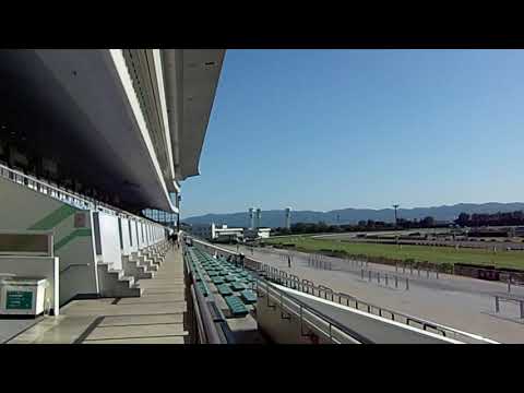 さらば！京都競馬場 2020.10.25 朝のスタンド