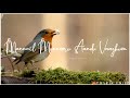 Engeyum Kaadhal Whatsapp Status New Whatsapp Status Harrish Jayaraj Music Tharik Edits