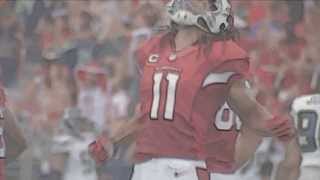 Larry Fitzgerald Highlights 2013