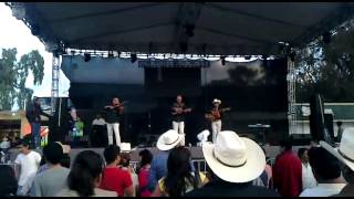 preview picture of video 'Trio Ensamble Huasteco - Santiago de Anaya 2013 : 1'