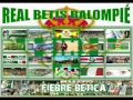 himno de Real Betis del centenario a piano - Vídeos de silvio del Betis