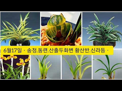 유튜브 썸네일