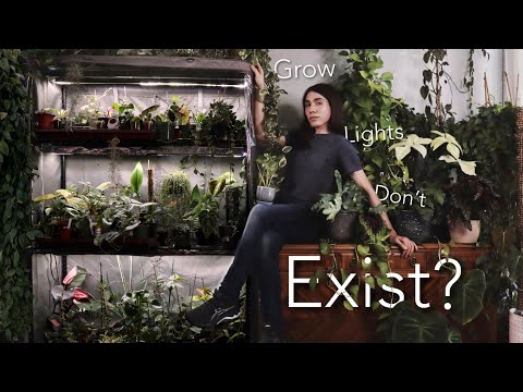 How to Use Normal LED Lights as Grow Lights | Avoid the Industry Markup