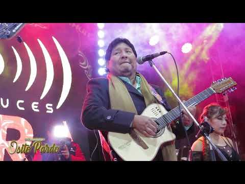 Williams Enrique El Osito Pardo - Mix Huaynos #04 (Vídeo en Vivo 2021)