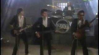 Zoo- Angel Come Home