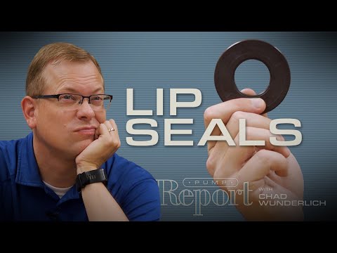 Part of a video titled How Do Lip Seals Work? - YouTube