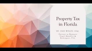 Protecting Property Rights: Property Tax Appeals & Homestead Protections