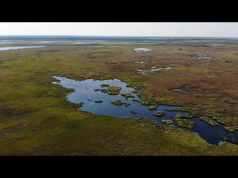 magas vérnyomás agyi vérzés