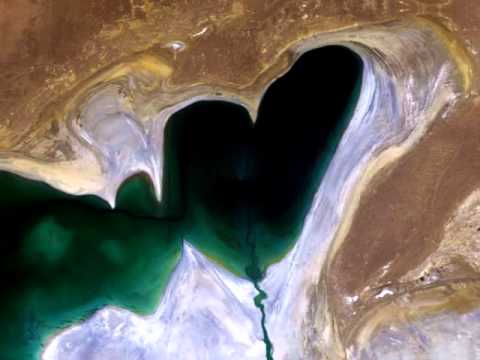 abeleira - love forever