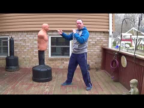 Revolving Door and Wing Chun Elbows