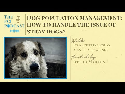Dog population management: how to handle the issue of stray dogs? - The FCI Podcast