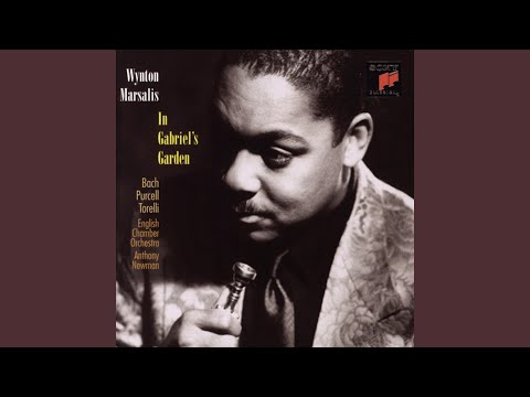 Sonata No. 2 in D Major for Trumpet, Strings and Basso Continuo: II. Adagio