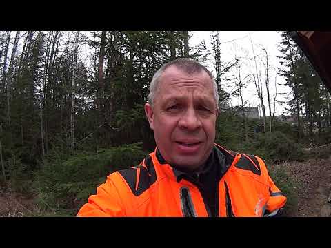 Toleranssit vähissä