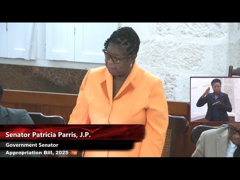 Senator expects improvement in public transport