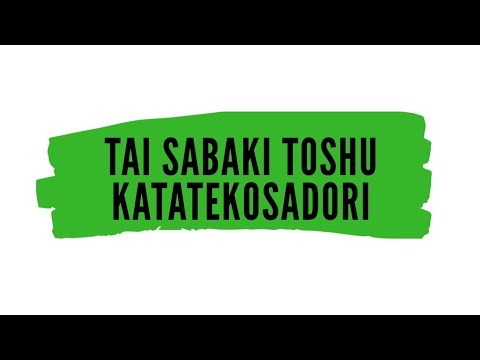 Aikido Solo Training - Tai sabaki toshu / Katatekosadori