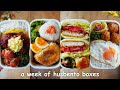 A Week Of Husband Lunch Boxes 53 The Last Husbentos Before New Chapter