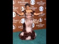 Peace In The Midst Of The Storm By Pastor Shirley Caesar