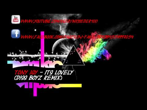 Tony Igy   Its Lovely Diss BoyZ [Remix]