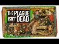 Could the Plague Rise Again?