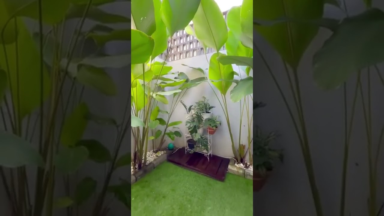 Rumah idaman - Inspirasi taman minimalis untuk rumah dengan lahan dan budget terbatas nih! Kala