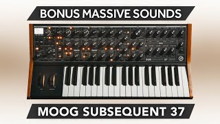 Video thumbnail for MOOG SUB 37 / SUBSEQUENT 37 ♫ 85 Massive Sounds ► SUPER MASSIVE - BONUS by Synth Cloud