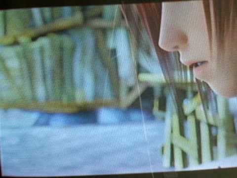 Kingdom Hearts 2 Prologue part 1