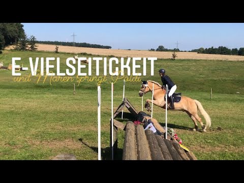 E-Eventing and Maren jumps with POLDI I at the Langenstriegis tournament
