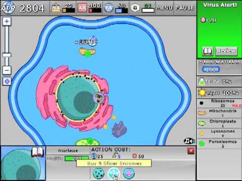 CellCraft youtube-video