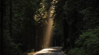 Michael Mayer & Agoria - Blackbird Has Spoken