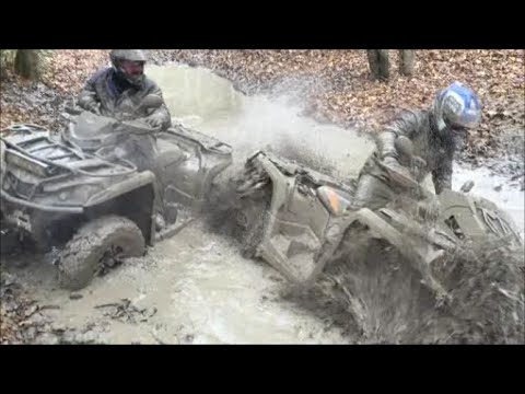 Du coté de chez SWAN ( 33ème rando ) 11/11/2015