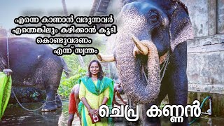 Chepra Kannan cute Kerala elephant  ചെപ്�