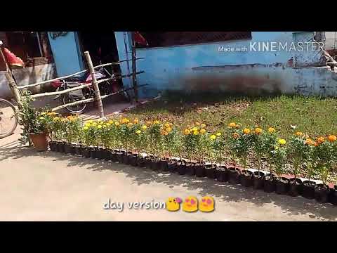 download lagu mp3 mp4 Best Navratri Decoration, download lagu Best Navratri Decoration gratis, unduh video klip Best Navratri Decoration