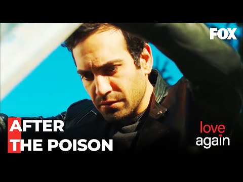 Fatih's Looking For Zehri Everywhere - Love Again Episode 82