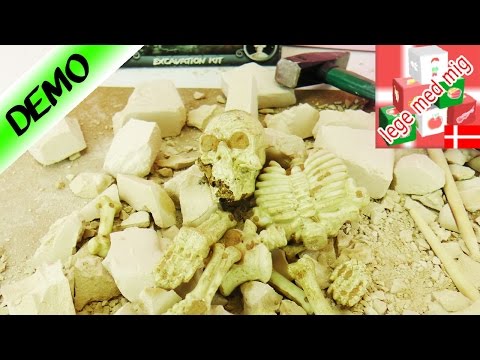 UDGRAVNING AF PIRATER! Sejt skelet - Piratudgravningssæt