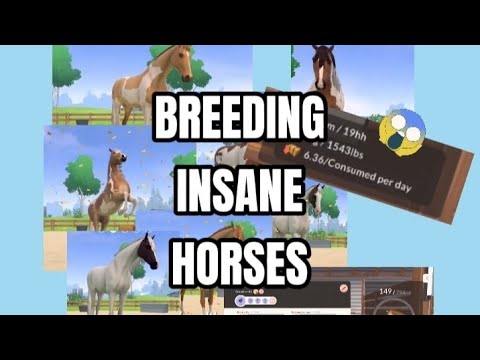 BREEDING INSANE HORSES!!! *equestrian the game*