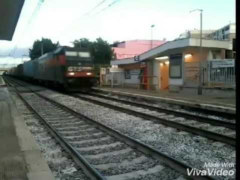 Transito TCS Bari Lamasinata - Piacenza