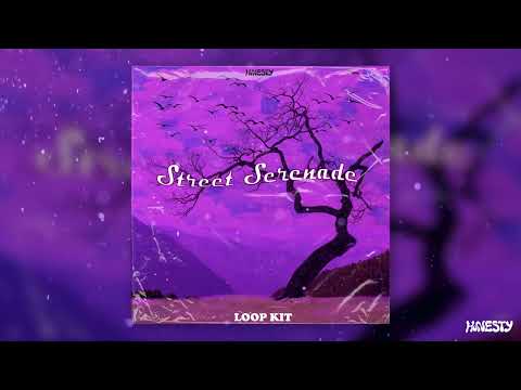 [FREE 12+] Melodic Loop Kit 2023 - "Street Serenade"| Rod Wave, Toosii, Nocap, Polo G (Pain Samples)
