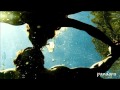 Aim - Cold Water Music