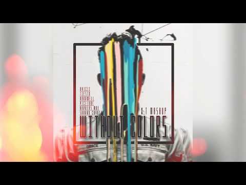 Avicii x Hardwell xTiesto x Vicetone ft. Andreas Moe x Sandro Cavazza - Without Colors ( X.T Mashup)