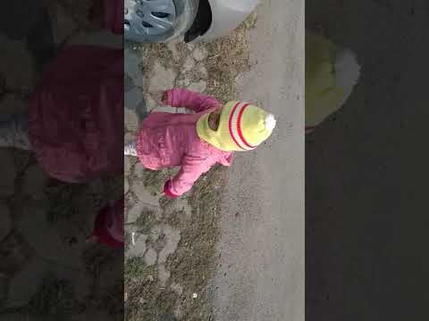 Animal lover Hiti, playing with dogs