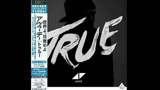 Avicii - Long Road To Hell