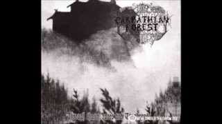 Carpathian Forest - Journey through the cold moors of Svarttjern
