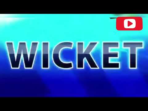 T20 M Amir Destroy the Australian batting Line..