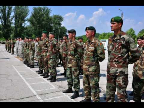 COSTEL PALADI-CÎND LA ARMATA AM PLECAT