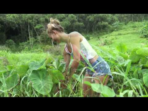 Hinano Temanava Tank Top