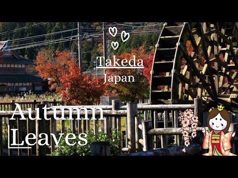 Autumn in Japan`s Countryside: Takeda Momijigari