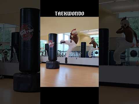 Taekwondo #tutorial #training #shortsvideo #shortvideo #usa #india #youtubeshorts #ytshorts #yt #mma