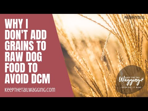Why I Don't Add Grains to Raw Dog Food to Avoid DCM