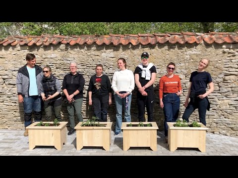 Suuremõisa aiapäev "Kohtumised aias". Hiiumaa Ametikooli traditsiooniline aiapäev 2022.