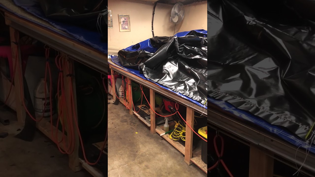 Wethers slide en proceso